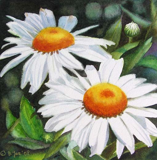 watercolor paintings of flowers. Daisies in watercolor, painted