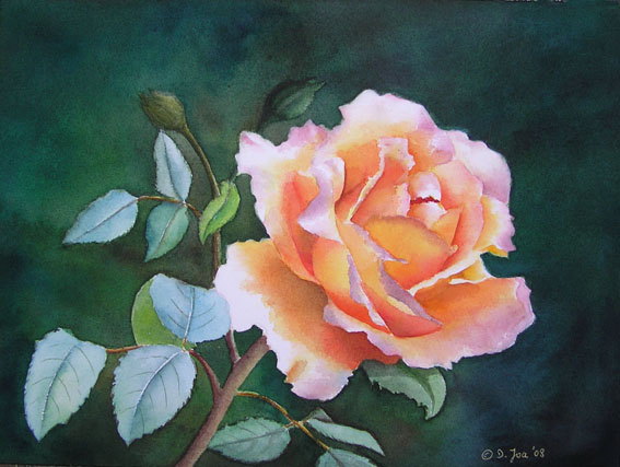 Orange rose with light blue leaves on dark background - Watercolor Rose - Realistic Watercolor of an orange yellow Rose by Doris Joa