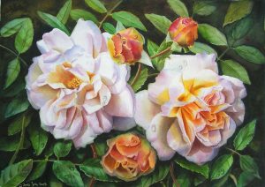 rose-ghislaine-de-feligonde-watercolor
