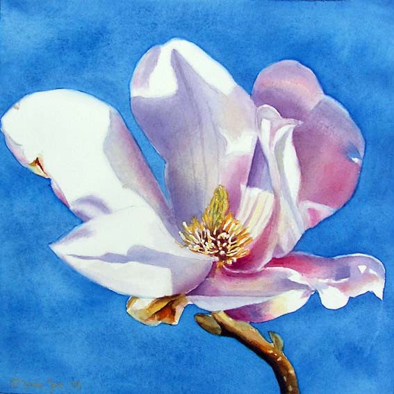 magnolia-8x83