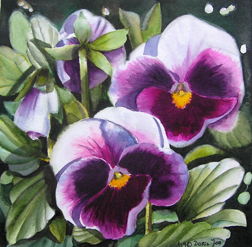 violet-pansies