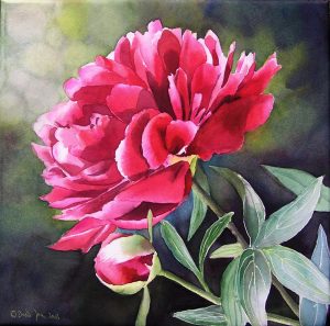 Pink Peony - watercolor painting by Doris Joa