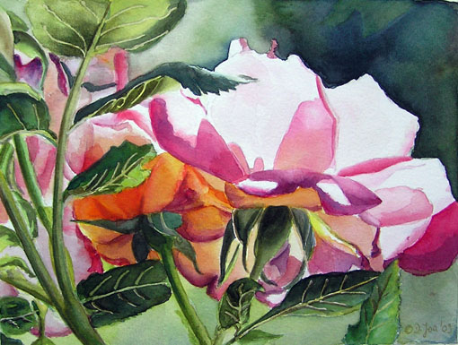 Rose Watercolor Painting - Rose Amelita Renaissance by Doris Joa