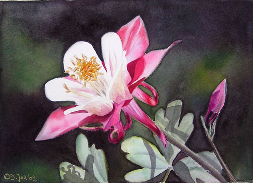 Akelei in Aquarell - Columbine in watercolor - small flower painting - Blumengemälde