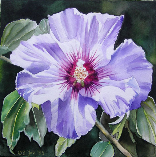 Blue Violet Hibiscus - Small flower watercolor painting 6x6 inch by Doris Joa