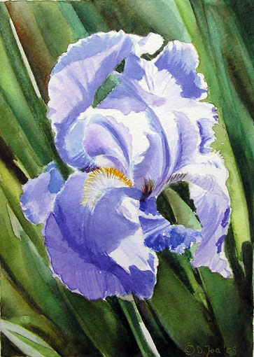 Blue Iris small daily watercolor flower painting, blaue Iris, Aquarell Blumenbild, Gemälde