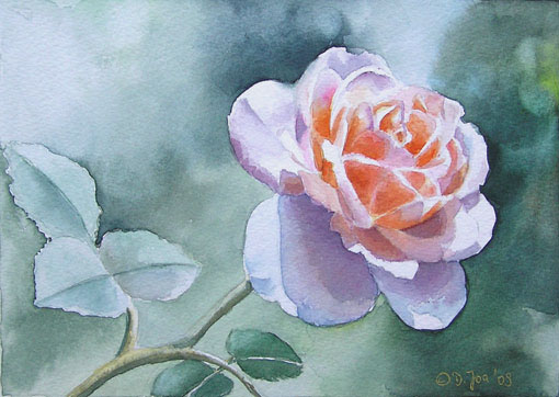 Rose Clair Renaissance - small watercolor rose painting by Doris Joa