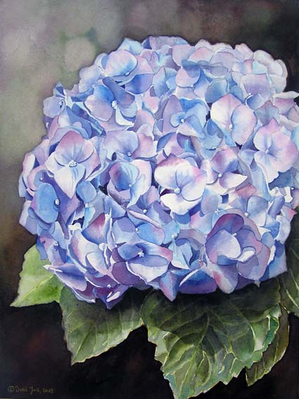 Watercolor Flower Painting - Blue Hydrangea II - Original Aquarellgemälde, blaue Hortensie