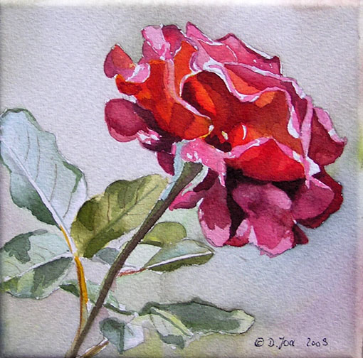 Red Rose - watercolor painting