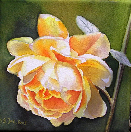 Rose Golden Celebration - watercolor painting
