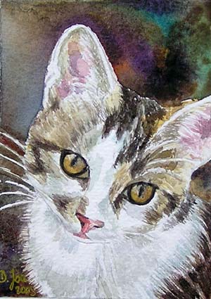 Kit Cat, white and grey, watercolor painting, ACEO size, Original