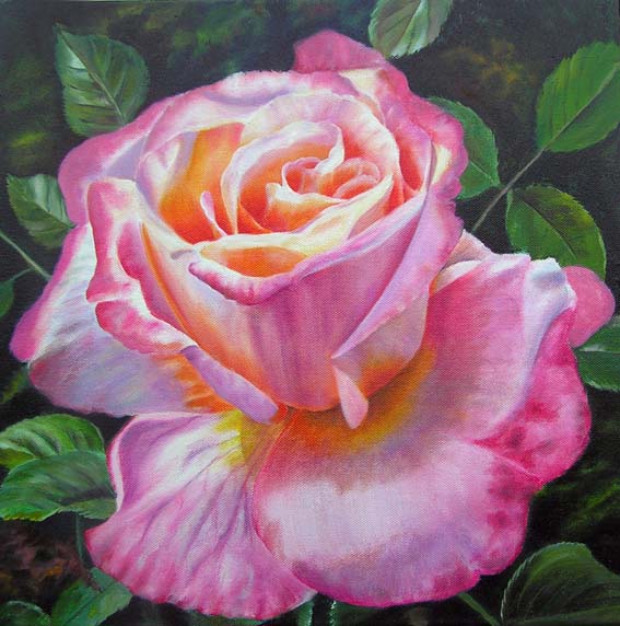 Large Pink Rose oil painting - original art - flower painting by Doris Joa