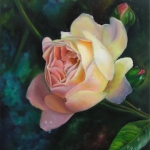 Rose Ghislaine de Feligonde - oil flower painting by Doris Joa