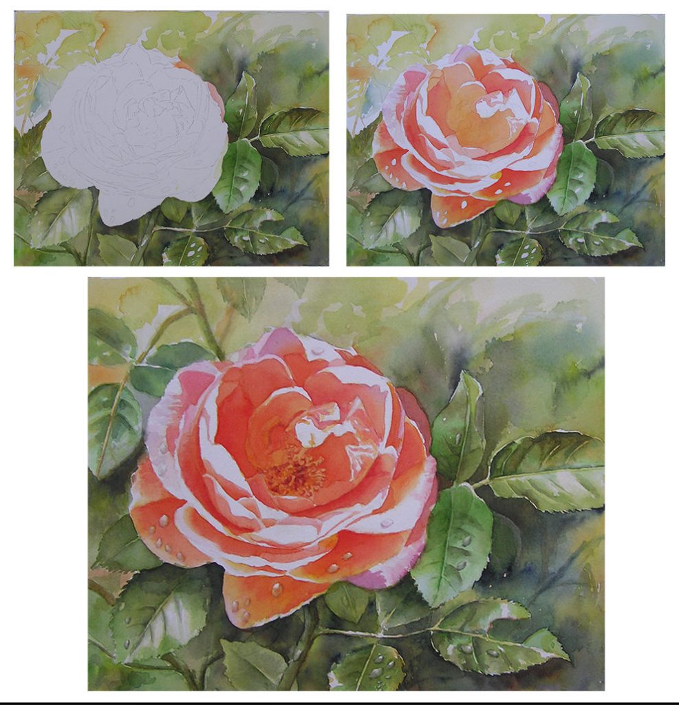 Rose Painting in a Loose Watercolor Style of the Rose Bonita Renaissance