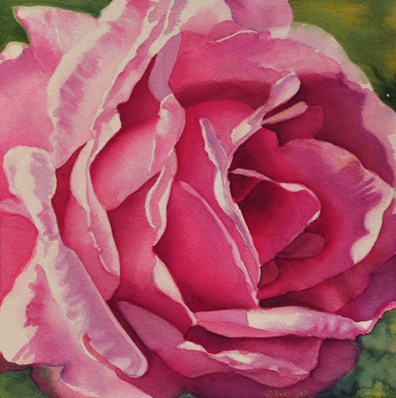 Purple Rose Painting in Watercolor by Doris Joa