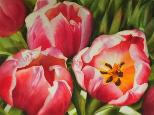 Large Tulip Painting in watercolor by Doris Joa