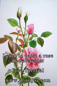 How to paint a pink rose in watercolor - botancial study with artist Doris Joa