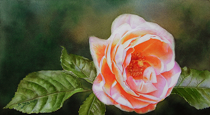 Learn to paint a glowing orange rose in watercolor with background