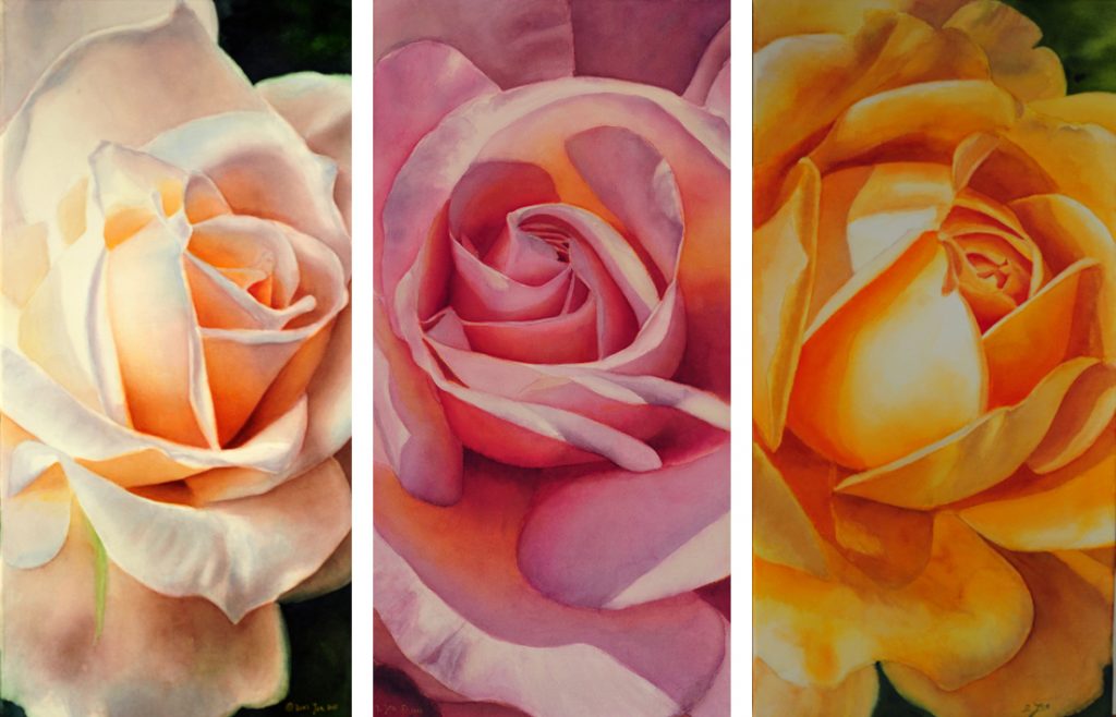 yellow pink white rose - realistic roses in watercolor