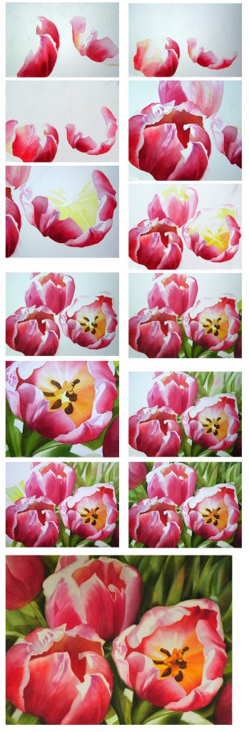How to paint flowers - Tulips in watercolor by Doris Joa 