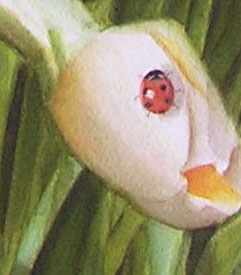 detail of my painting : daffodils with ladybug