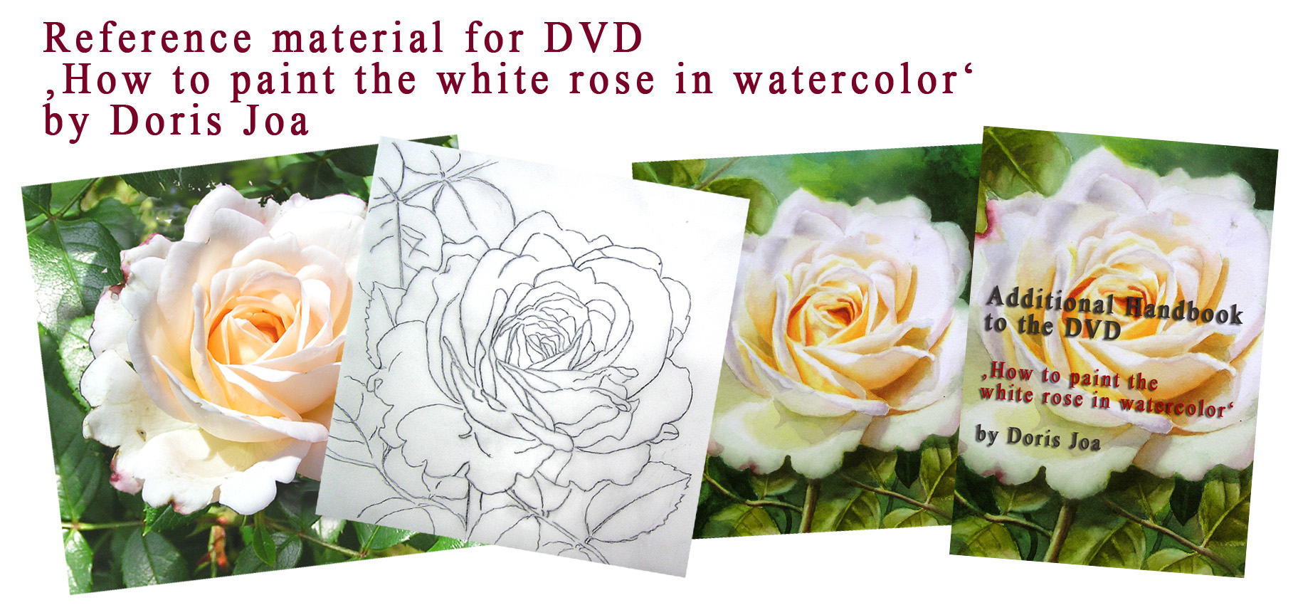 Reference material for Doris Joa's Watercolor DVD 'How to paint the white rose in watercolor'
