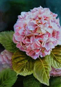 How to create colour harmony in flower paintings