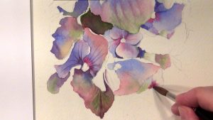 How to paint a hydrangea in watercolor