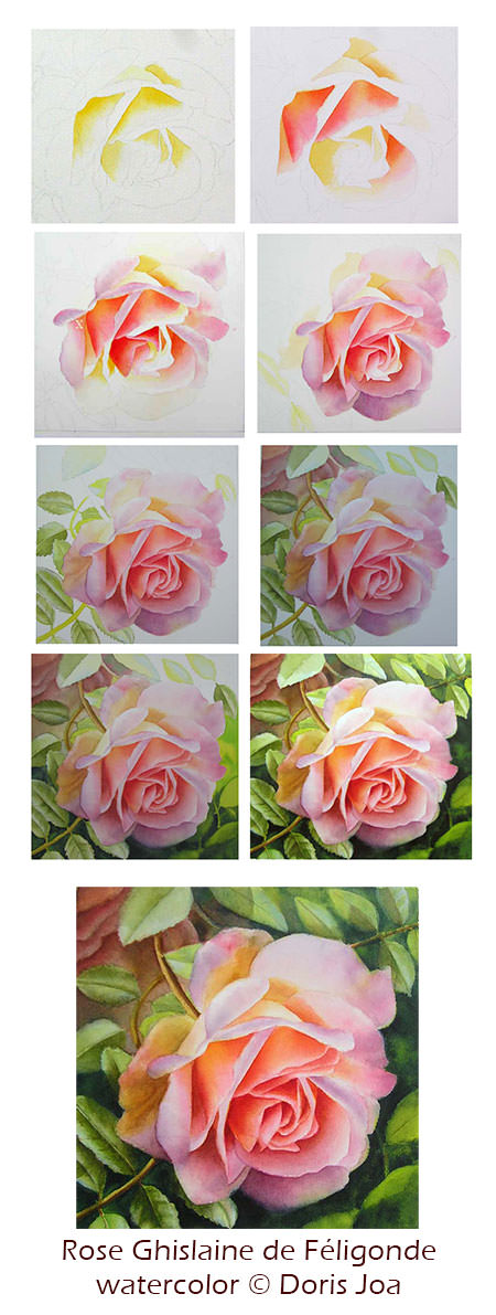 Learn how to watercolor the beautiful Rose Ghislaine de Feligonde - mixing colours, adding beautiful leaves and background