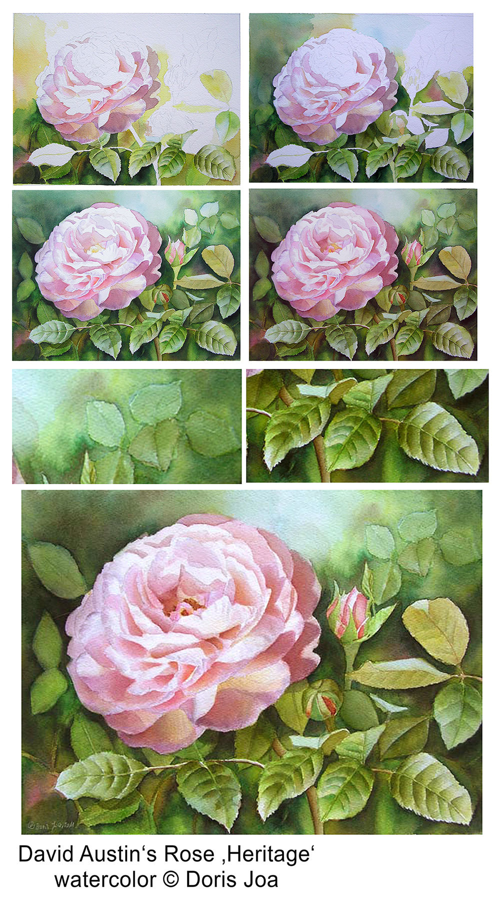 How to paint roses Watercolor Rose Painting StepbyStep