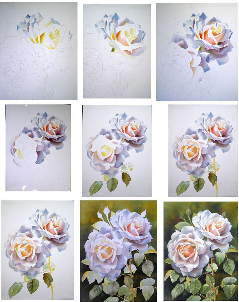 How to paint a white apricot coloured Renaissance Rose in watercolor