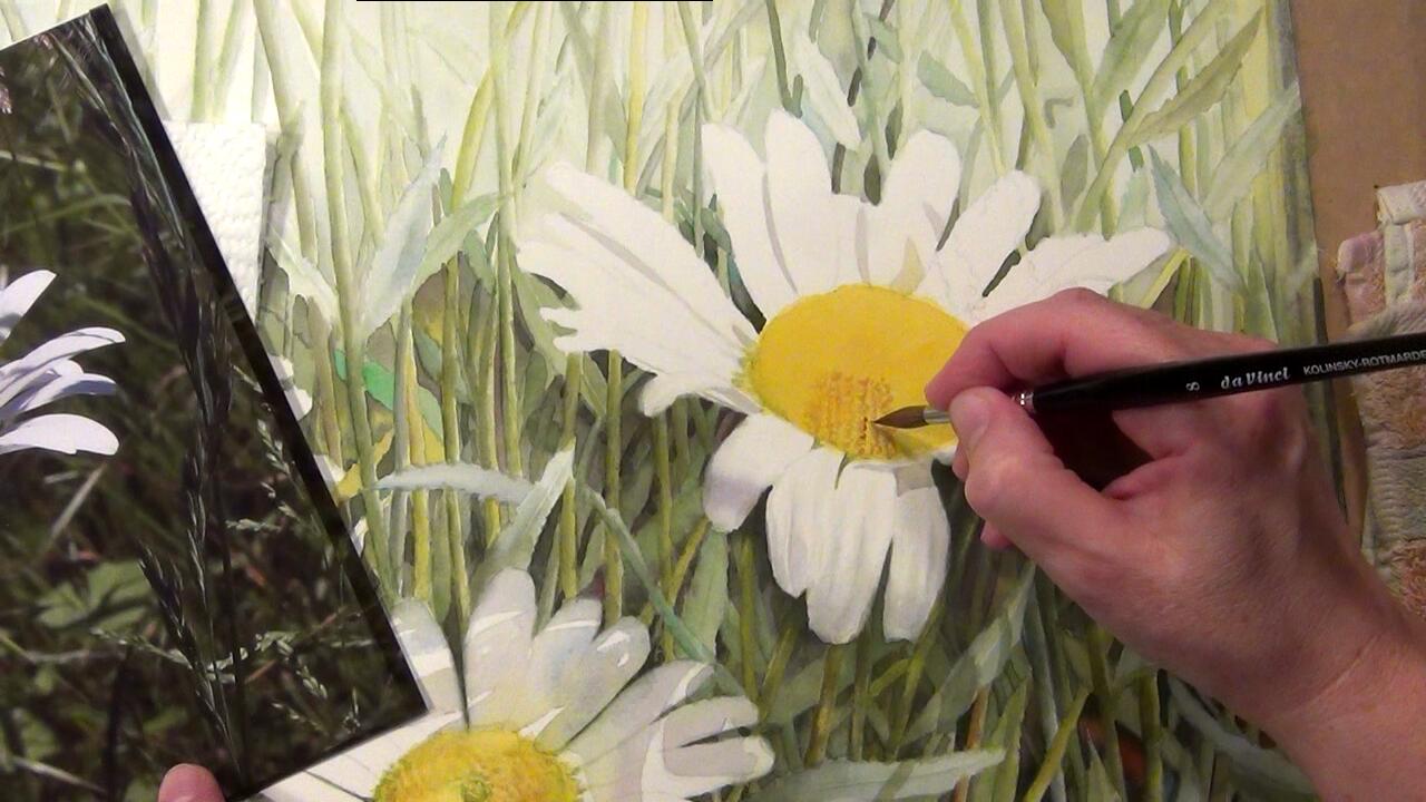Paint the center of a white Daisy