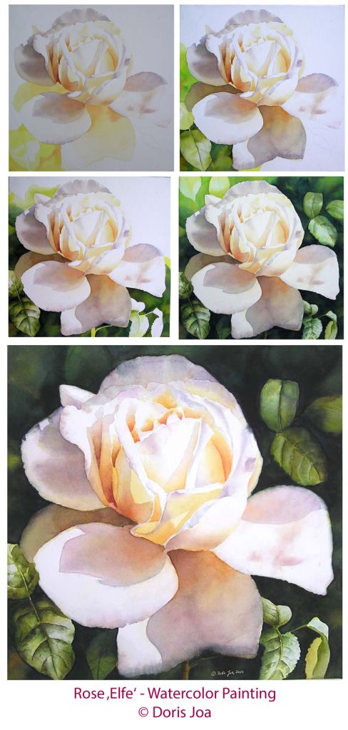 Rose Elfe - Watercolor Painting of a creamy white rose with leaves and dark background