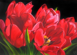 Painting of Red Tulips in oil on canvas. Tulips are fun to paint. Be careful with creating your composition. Try to make one main flower the star of your painting composition.
