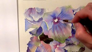 Watercolor online lesson on how to paint hydrangeas