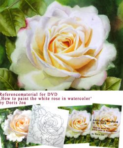 Learn online or with this DVD how to paint with watercolors a complete rose painting - Online Video and Watercolor DVDlesson