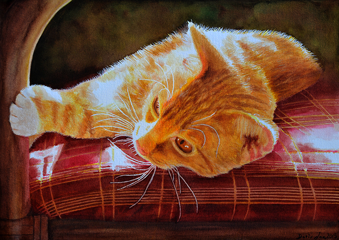 Red Cat laying on red chair - realistic cat painting with sunlight, relaxing cat on a chair with red seat