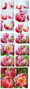 How to paint tulips in watercolor or oil