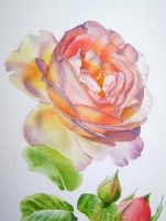 How to paint flowers in watercolor and oil