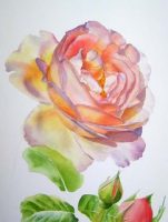 How to paint flowers in watercolor and oil