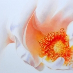 Watercolor Flower Painting by Doris Joa
