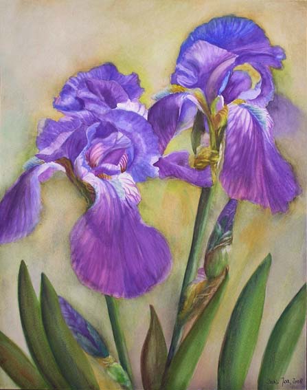 Blue Iris - Watercolor Painting on Aquabord | Watercolor & Oil ...