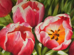 Glowing Pink Red Tulips close up in watercolor flower painting