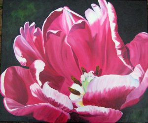 Pink Parrot Tulip painted as a realistic oil painting
