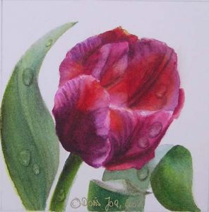 Botanical Watercolor Floral Painting, Pink Purple Tulip with leaves and raindrops, stunning realism in watercolor