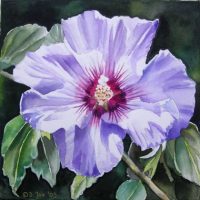 Blue violet hybiscus in watercolor painting