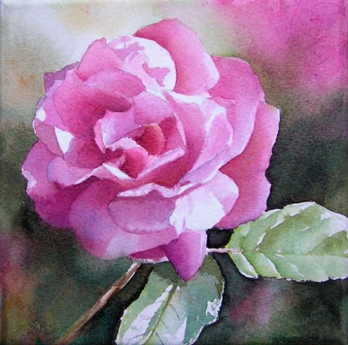 Wie male ich realistische Blumen, Rosen in Aquarell - E-book -Pink Rose ...