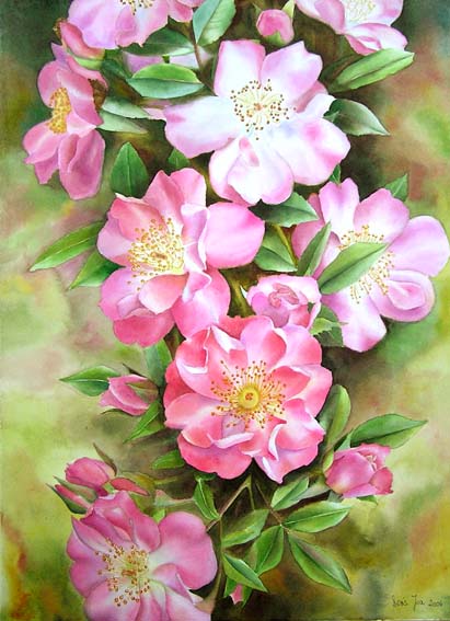 Rose Open Arms - Free Watercolor Demonstration - Watercolor & Oil ...