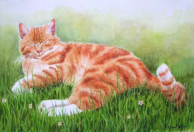 Red Cat sleeping in grass in Watercolor | Watercolor & Oil Paintings of