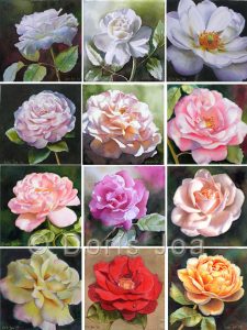 Collection of painted roses - learn how to paint a rose, how to paint roses in watercolor